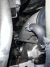 IMG_0784.jpeg
