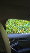 IMG-20250917-WA0001.jpeg