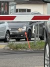IMG_0288.jpeg